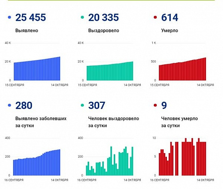 Коронавирус в Ростовской области: статистика на 14 октября