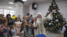 Как кошки-крошки год Собаки встречали