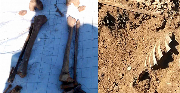 Поисковики обнаружили в  Орловском районе останки 11 красноармейцев