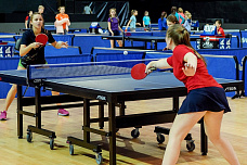 Настольный «Тихий Дон»