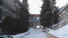 День признания в любви