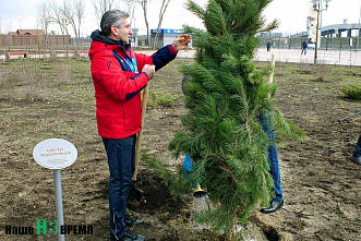 В Ростове, в парке «Левобережный» сегодня открыли Аллею спортивной славы