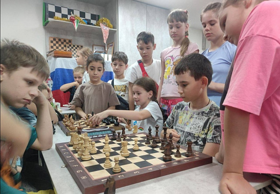 Ростовский «полк» шахбоксеров скоро заметно пополнится