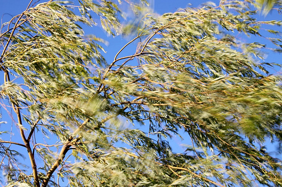 Фото: dneprovec.by