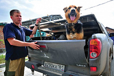 Собаки специального назначения_14650