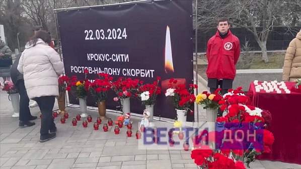 Сегодня у входа в ростовский парк им. Горького. Источник фото: скриншот программы ГТРК 