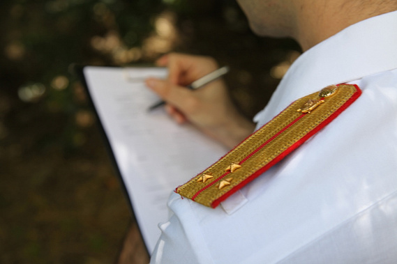 Заведут еще одно уголовное дело в связи с нападением собак на людей в Ростовской области