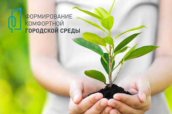 На Дону пройдет День древонасаждения