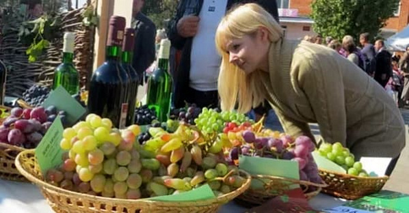 В Азове пройдет гастрономический праздник «Государева Лоза»