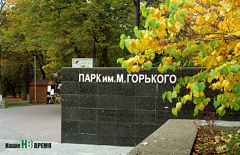 Общественники Ростова выступают за единую концепцию реконструкции парка им. М Горького