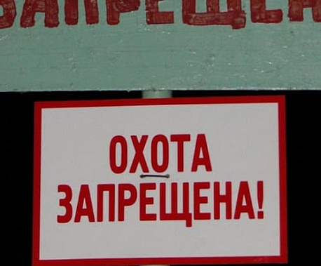 Запрет на охоту диктует пограничный режим
