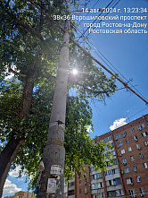 14 08 2024 В центре донской столицы сделали опиловку проблемных деревьев