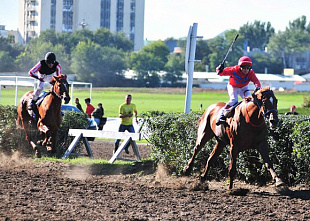 Призы получили достойные_25945