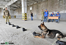 Собаки свое дело знают