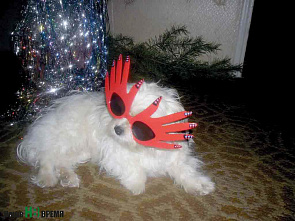 В новый год – со старым другом 