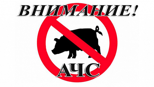  8 августа