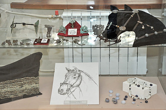 Выставка о черкесах и их традициях открылась в Ростове