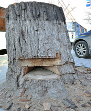 Налогоплательщик желает знать…_21389