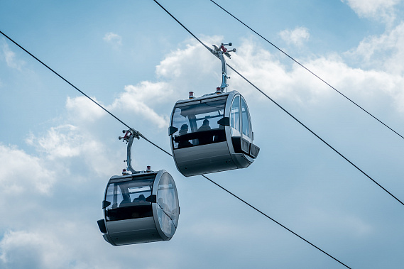 Фото сайта  www.pexels.com