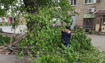 В Ростове устранили последствия шквалистого ветра