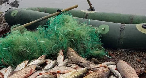В Ростовской области в рамках операции «Путина-2020» изъято свыше 3 тонн незаконно выловленной рыбы