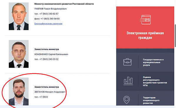 Скриншот страницы на портале правительства Ростовской области.