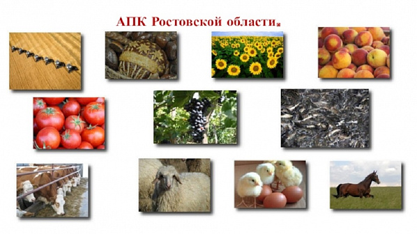 На поддержку донского агропрома в минувшем году было направлено более 8 млрд рублей
