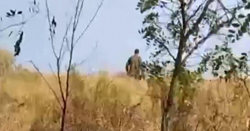 Украинские боевики отправили пленных на минное поле