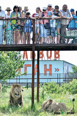 Парк львов и тигров в Крыму исчезнет? 