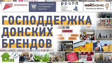 В ушедшем году 40 донских компаний с господдержкой направили заявки на регистрацию своих брендов
