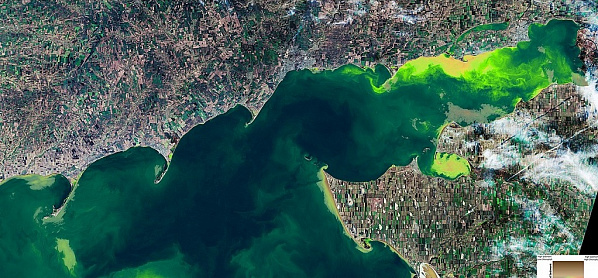 Таганрогский залив Азовского моря. Снимок со спутника.