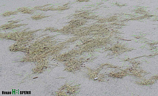 Погуляем, поснимаем – 4