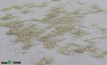 Погуляем, поснимаем – 4