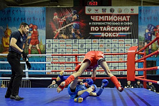 На Дону прошёл форум тайского бокса