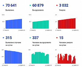 Коронавирус в Ростовской области: статистика на 20 февраля