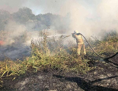Чрезвычайная пожароопасность объявлена в 37 муниципалитетах Ростовской области