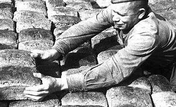 В прицеле – хлеб