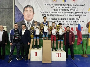 Донские борцы завоевали награды открытого Республиканского турнира по греко-римской борьбе