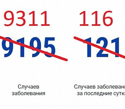 На Дону зарегистрировано 116 новых зараженных коронавирусом и еще 10 жертв COVID-19