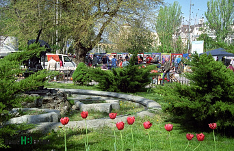 Общественники Ростова выступают за единую концепцию реконструкции парка им. М Горького