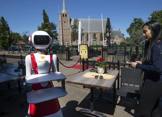 Роботы-официанты в семейном ресторане на юго-западе Нидерландов 