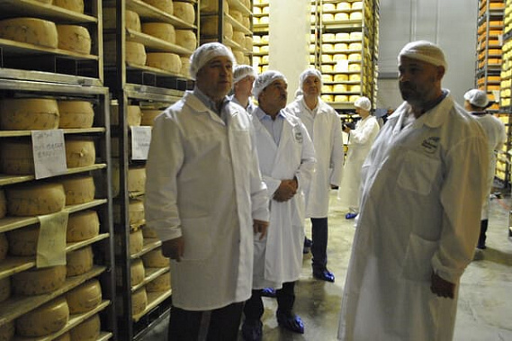 На Дону заметно выросло производство сливочного масла и сыров