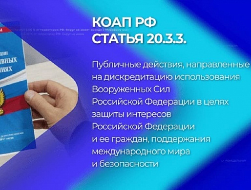 Донских студента и предпринимателя осудили за дискредитацию Вооруженных сил России