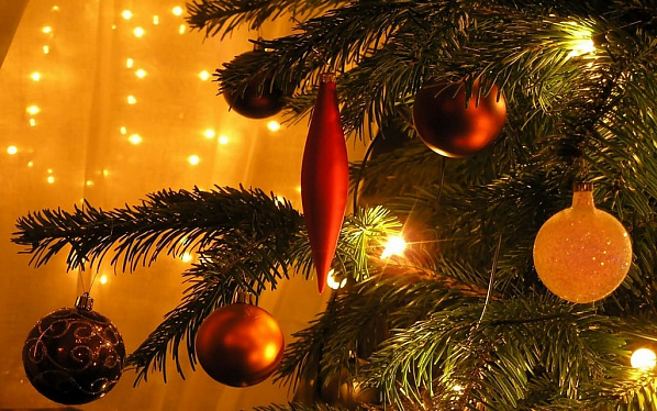 В Новошахтинске объявили конкурс елок