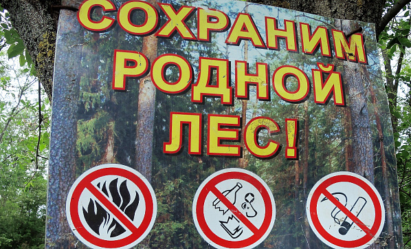 Вы стали свидетелем возгорания в лесу...