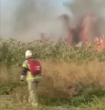 Спасатели Самарского ПСО оказали помощь пожарным в борьбе с огнем 