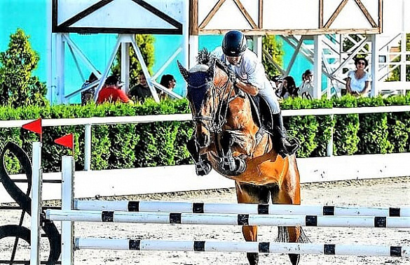 Донские конники отправились на престижные соревнования в Подмосковье