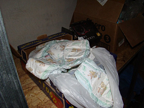 В тихой заводи