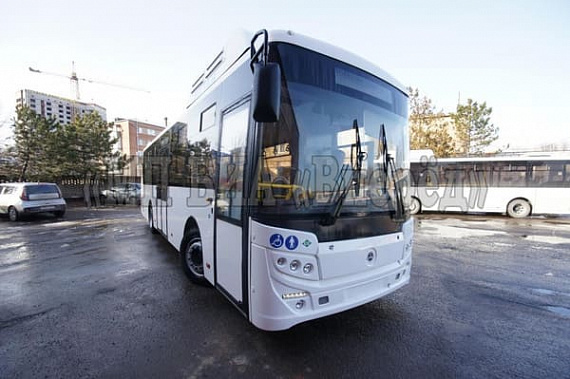 Автобусы будут, но позже