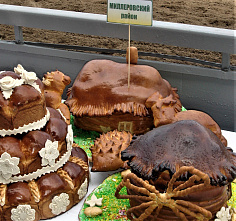 Президент России наградил работников донского АПК